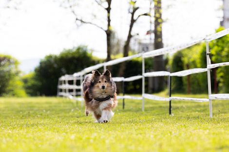 Bilder von unserer Frühjahrsprüfung 2025