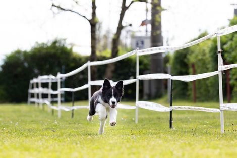 Bilder von unserer Frühjahrsprüfung 2025