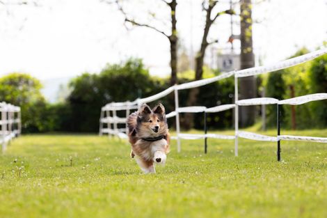 Bilder von unserer Frühjahrsprüfung 2025