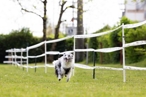 Bilder von unserer Frühjahrsprüfung 2025