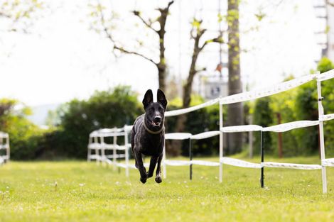 Bilder von unserer Frühjahrsprüfung 2025