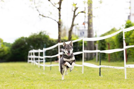 Bilder von unserer Frühjahrsprüfung 2025