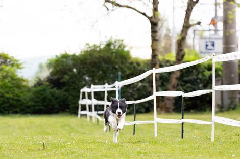 Bilder von unserer Frühjahrsprüfung 2025