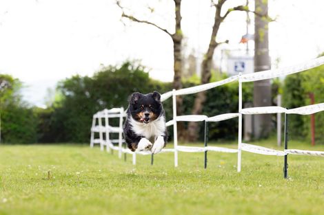 Bilder von unserer Frühjahrsprüfung 2025