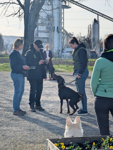 Bilder von unserer Frühjahrsprüfung 2025