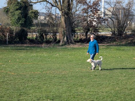 Bilder von unserer Frühjahrsprüfung 2025