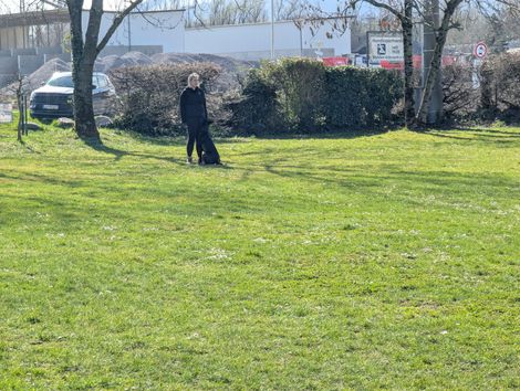 Bilder von unserer Frühjahrsprüfung 2025