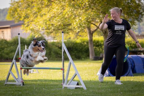 Eindruck aus dem Agility-Training