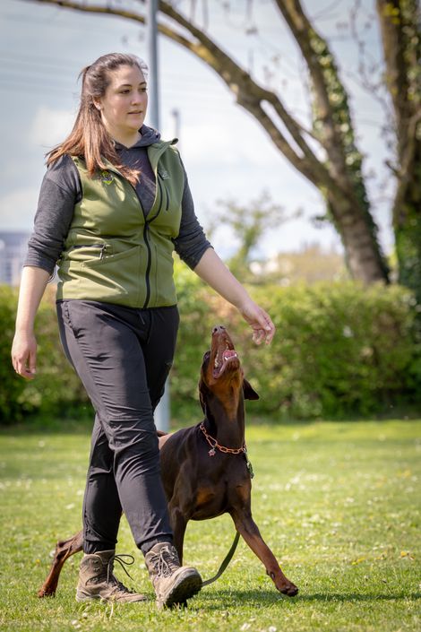 Eindruck aus dem Begleithunde Gruppe