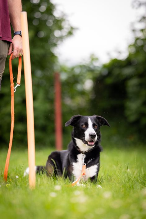 Eindruck aus dem Erziehungskurs