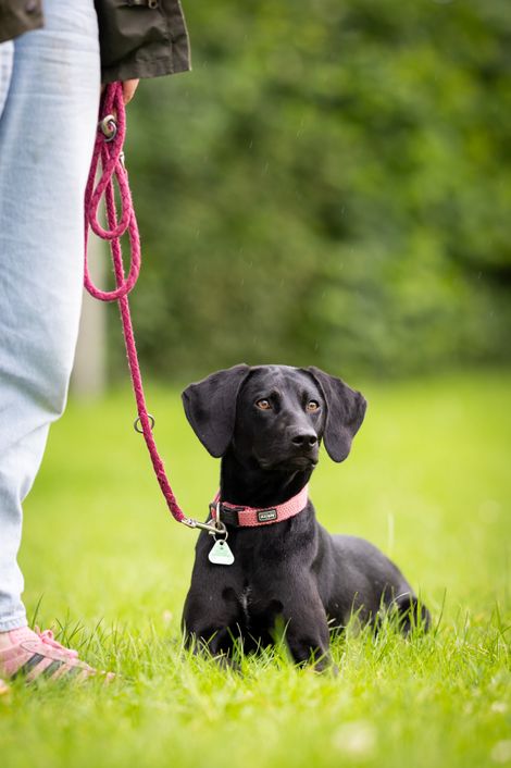 Eindruck aus dem Erziehungskurs