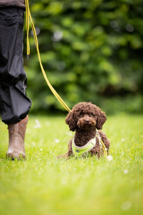 Eindruck aus dem Erziehungskurs