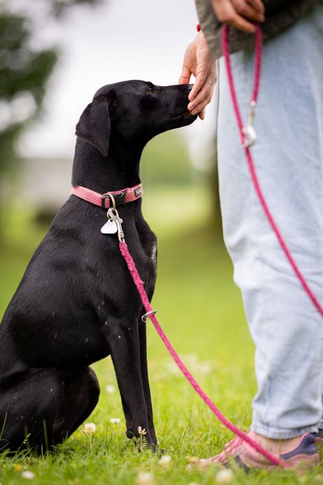 Eindruck aus dem Erziehungskurs