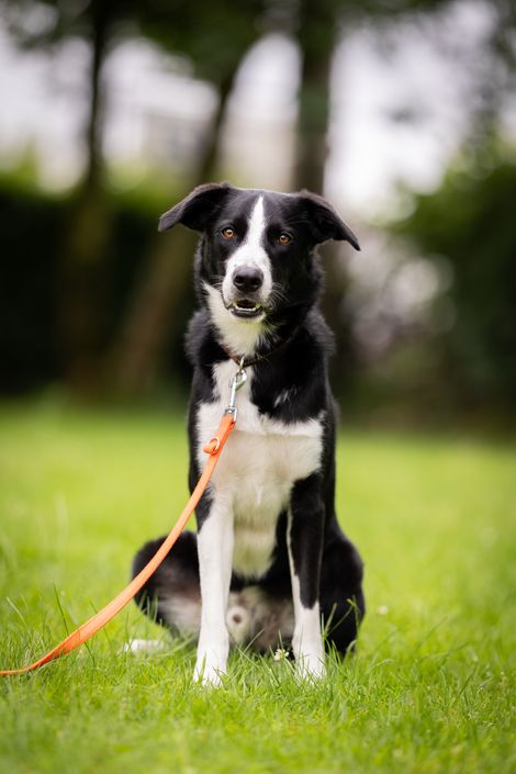 Eindruck aus dem Erziehungskurs