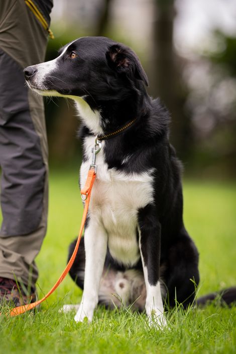 Eindruck aus dem Erziehungskurs