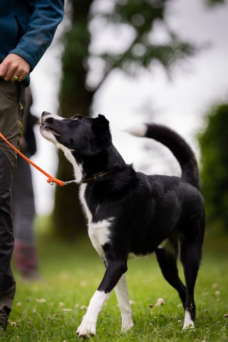 Eindruck aus dem Erziehungskurs