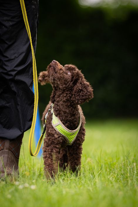 Eindruck aus dem Erziehungskurs