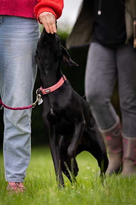 Eindruck aus dem Erziehungskurs