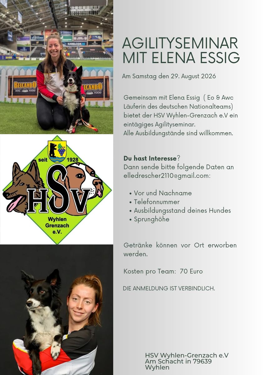 Agilityseminar mit Elena Essig