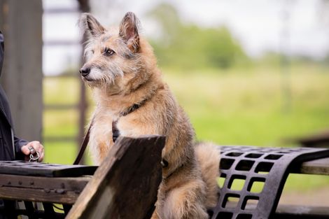 Eindruck aus der freien Trainingsgruppe
