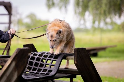 Eindruck aus der freien Trainingsgruppe