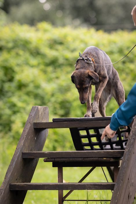 Eindruck aus der freien Trainingsgruppe