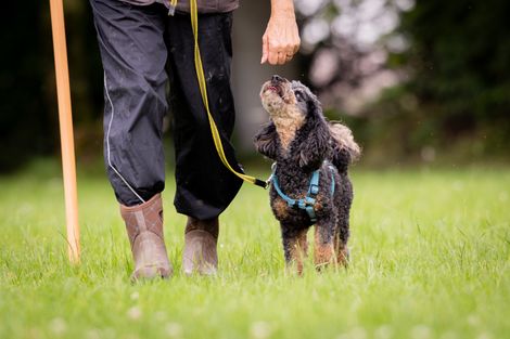 Eindruck aus der freien Trainingsgruppe