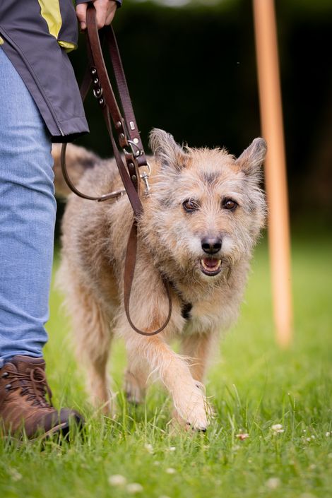 Eindruck aus der freien Trainingsgruppe