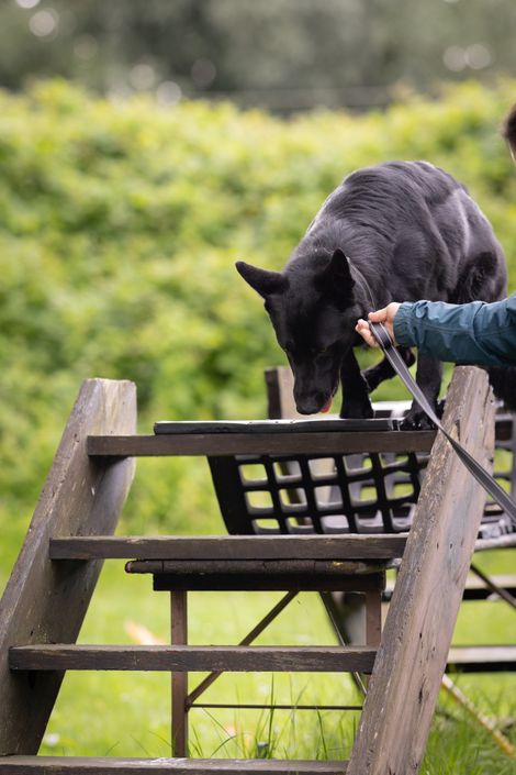Eindruck aus der freien Trainingsgruppe