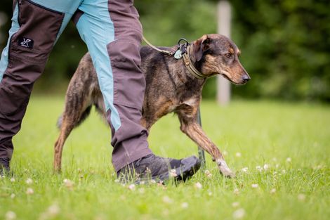 Eindruck aus der freien Trainingsgruppe