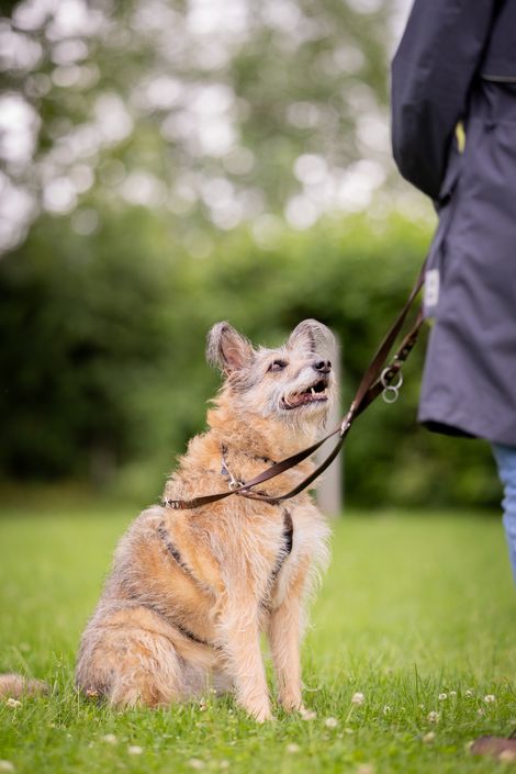 Eindruck aus der freien Trainingsgruppe