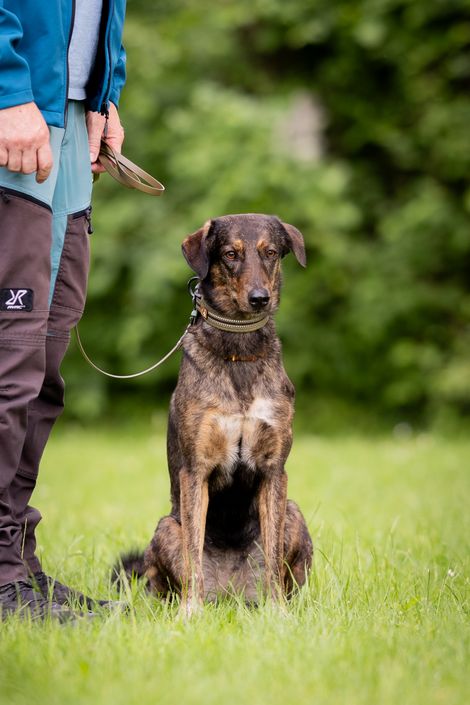 Eindruck aus der freien Trainingsgruppe