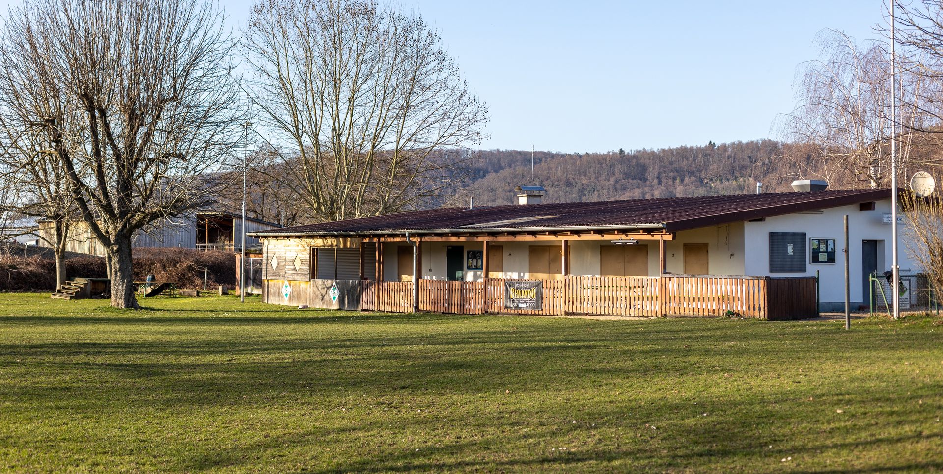 Ein Hund beim Training