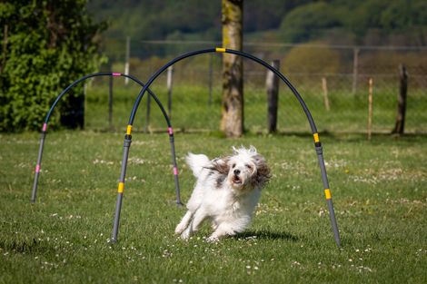 Eindruck aus dem Hoopers-Training