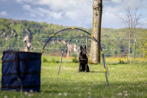 Eindruck aus dem Hoopers-Training