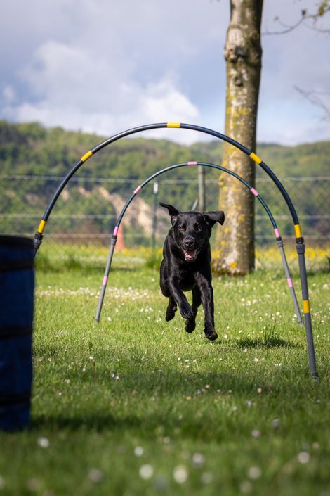 Eindruck aus dem Hoopers-Training