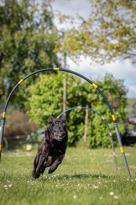 Eindruck aus dem Hoopers-Training