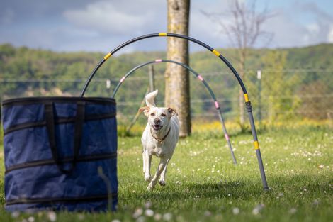 Eindruck aus dem Hoopers-Training