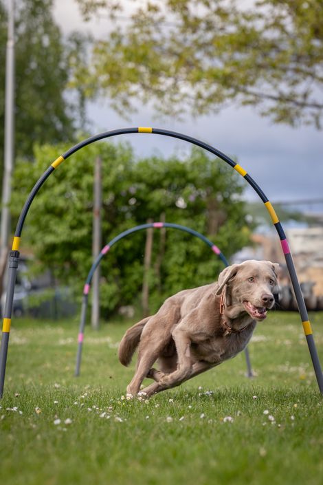 Eindruck aus dem Hoopers-Training