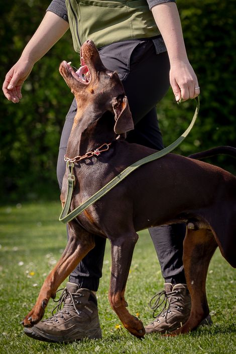 Eindruck aus dem IGP Training