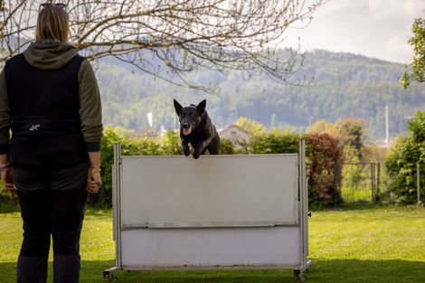 Eindruck aus dem IGP Training