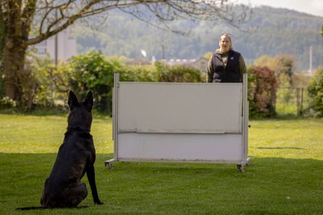 Eindruck aus dem IGP Training