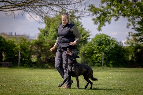 Eindruck aus dem IGP Training